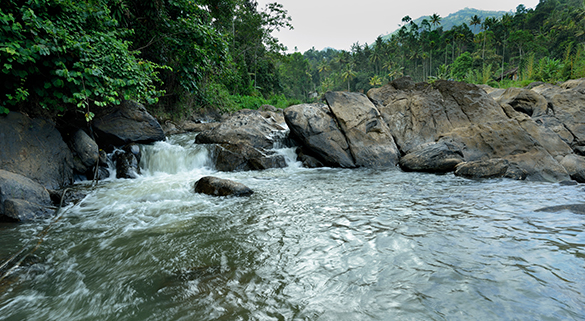 Indriya Resorts|Beach|Sea|Back Water|Hill Stations